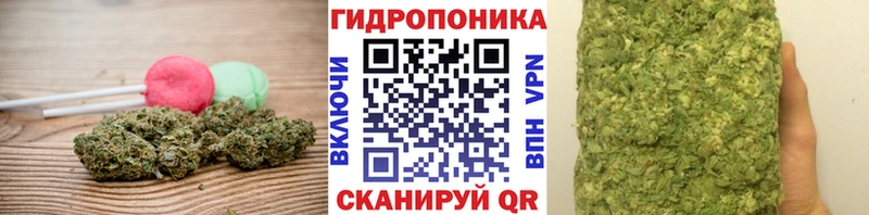 Canna-Cookies марихуана  Андреаполь 