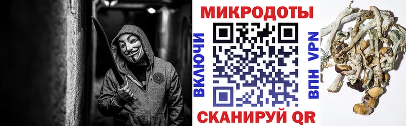 Псилоцибиновые грибы Cubensis  OMG маркетплейс  Андреаполь 