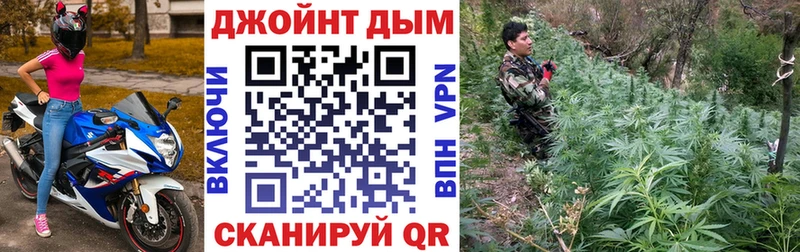 МАРИХУАНА гибрид Андреаполь